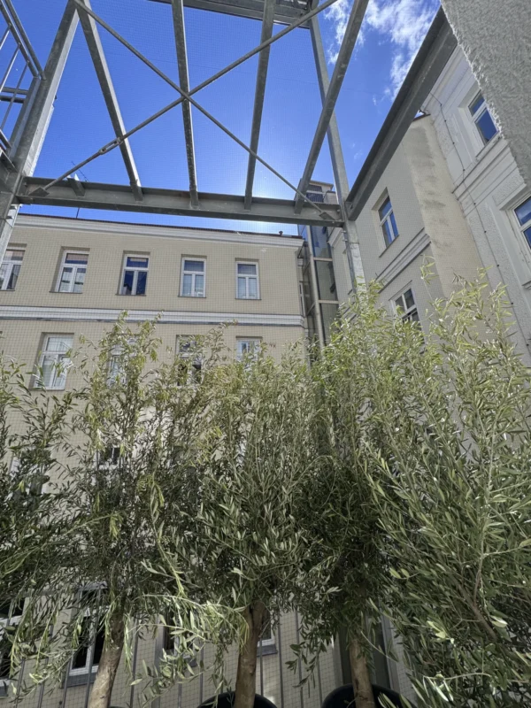 20260408 094339747 iOS